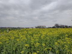 -中国天府农业博览园