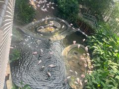 -新加坡飞禽公园