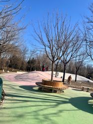 -大望京儿童游乐场