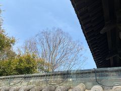 -敬亭山风景名胜区