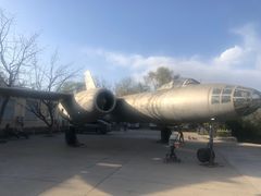 -云岗森林公园