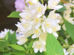 -8PINTS八品脱·日料·烧鸟·精酿小酒馆(莘庄店)