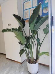 -FUMEIHUI·科技美肤·美体SPA