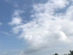 -蓝湾绿城威斯汀度假酒店大堂吧