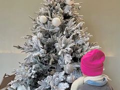 -J Create城市露营咖啡·简餐·宠物(上海动物园店)