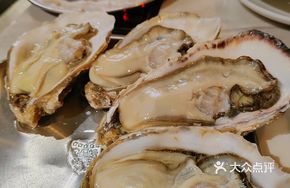 Zhanjiang Guandu Oyster