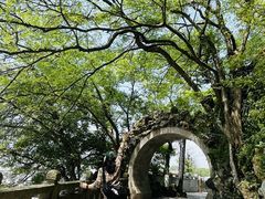 -江心屿景区