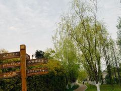 -眉山湿地公园(东坡区)