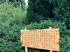 -金沙滩度假村