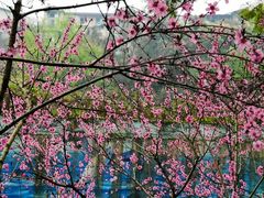 -重庆彩云湖湿地公园