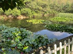 -金龙寺国家森林公园