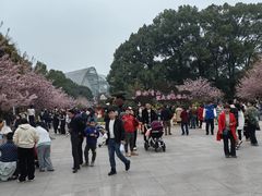 -南山植物园