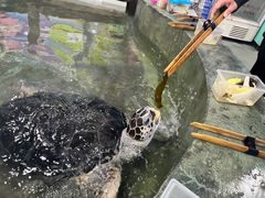 -嘉兴海底世界