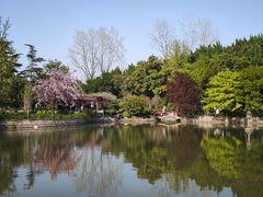 -嘉定紫藤园