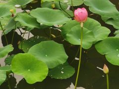 -天赐温泉