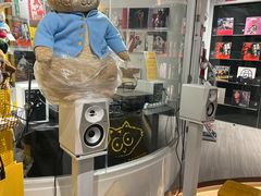 -浣熊唱片店(上海影城店)