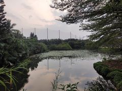 -白沙门生态公园