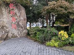 -西湖外事游船(湖滨二公园外事游船码头)