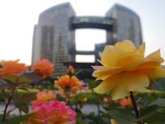 -钱江新城灯光秀