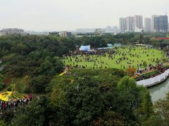 -青枫公园