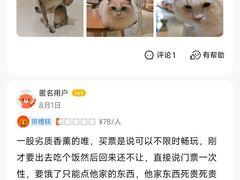 -藏猫猫咖啡主题馆(中央大道店)