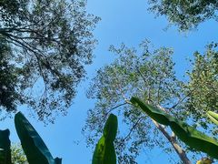 -合肥滨湖国家森林公园