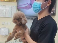 -全心全意连锁动物医院·微创中心·内科急重症·心脏专科(丰管路店)