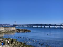 -黑石礁公园