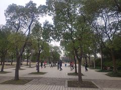-新江湾城公园
