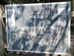 -柯岩风景区