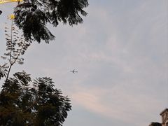-番禺大夫山森林公园