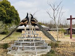 -东平国家森林公园