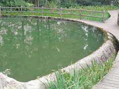 -成都市活水公园