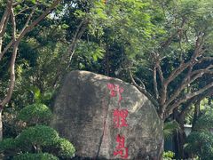 -野狸岛
