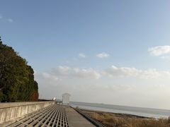 -瀛洲公园