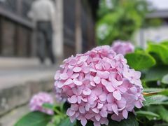 -古大圣慈寺