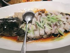 -客颂·客家宴(大壮国际广场店)
