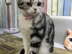-小时光咖啡馆(开森度假森林店)