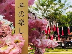 -槟城街头艺术街区