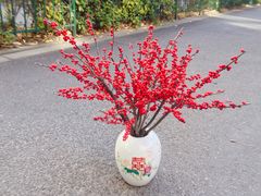 -F.Story 花和故事(新天地店)