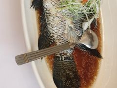 -骏莱海鲜鱼港(五角场店)