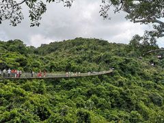 -亚龙湾热带天堂森林公园