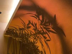 -宁采臣Sleep·采耳·SPA放松馆(湖里万达店)