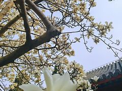 -北京石刻艺术博物馆(五塔寺)
