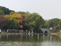 -范蠡湖公园