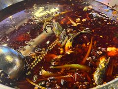 -小饕荟雅安贡椒鱼鲜馆(广福桥店)