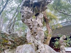 -绮园景区
