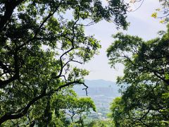 -灵岩山风景区