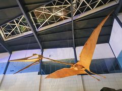 -湖南省地质博物馆