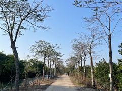-大湾区中央湿地公园